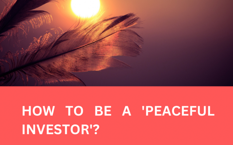 Financial Planning-PEACEFUL INVESTOR